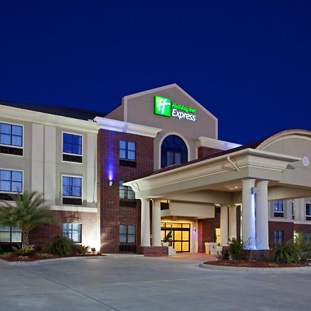 Holiday Inn Express Hotel & Suites Vidor South, An Ihg Hotel Buitenkant foto
